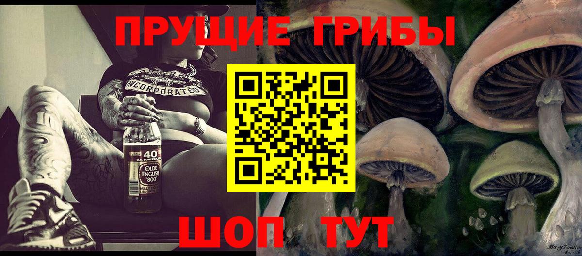 магазин  наркотиков  Вход с VPN  Псилоцибиновые грибы прущие грибы  Россошь  Галлюциногенные грибы GOLDEN TEACHER 