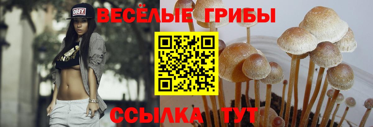 Псилоцибиновые грибы прущие грибы Россошь